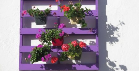 Purple trellis with potted flowers
