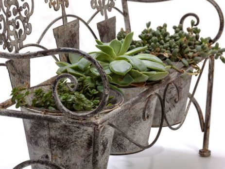 Iron planter holding 3 potted plants