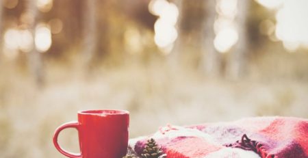 Red cup, red blanket and pine cones on a wooden deck rail